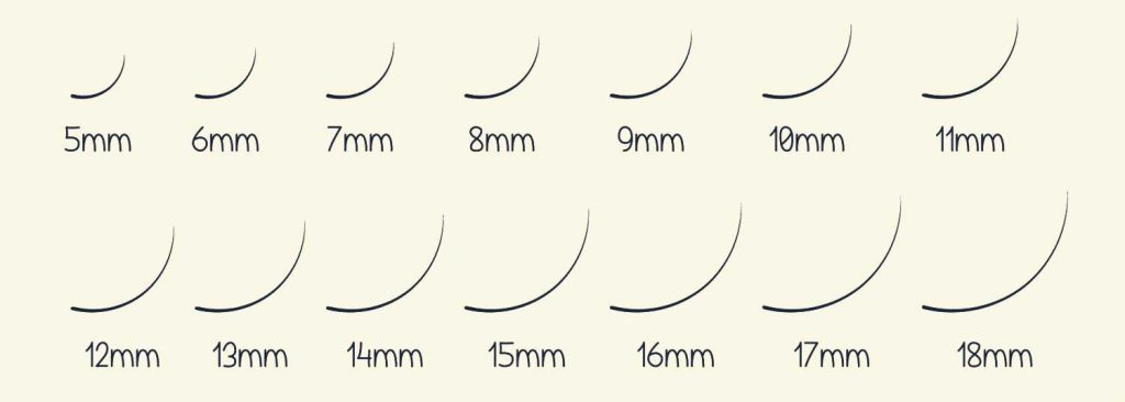 Eyelash Extension Lengths